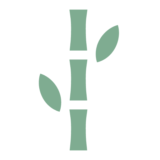 Bamboo
